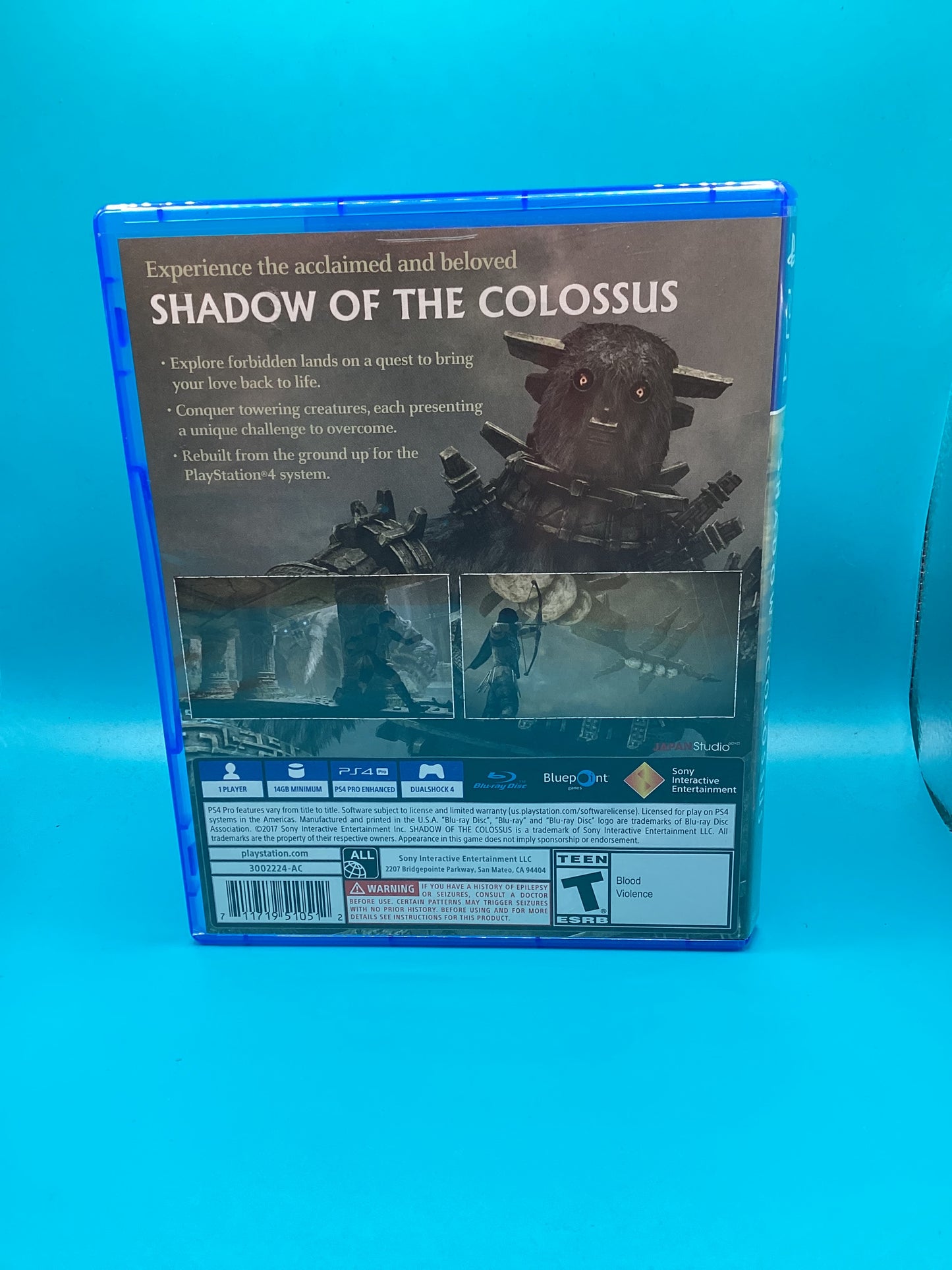 Shadow of the Colossus