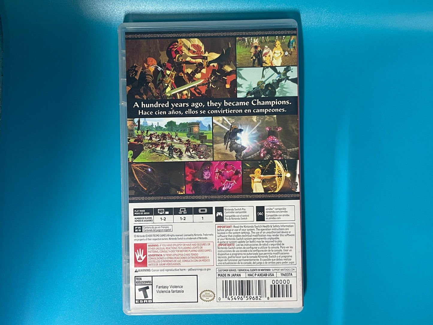Hyrule Warriors: Age of Calamity