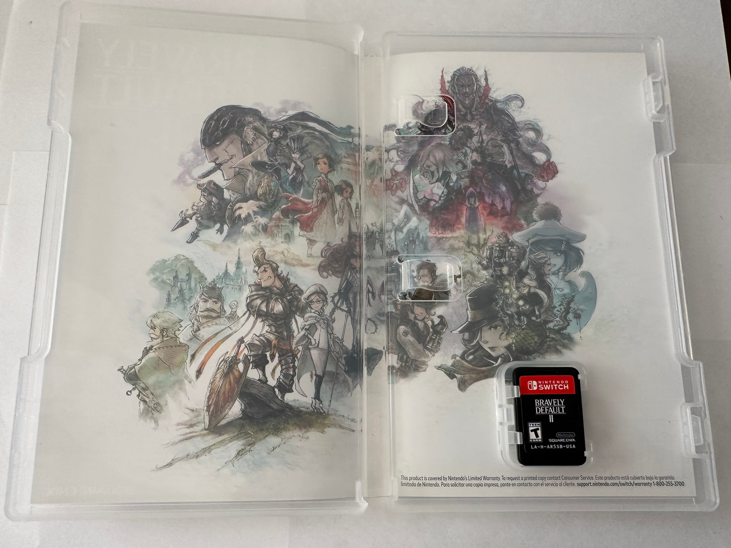 Bravely default ii for the Nintendo switch