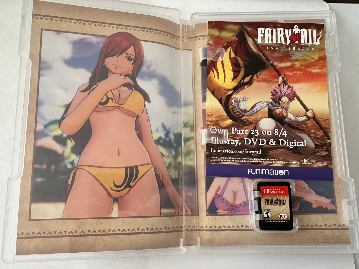 Fairy tail for the Nintendo switch