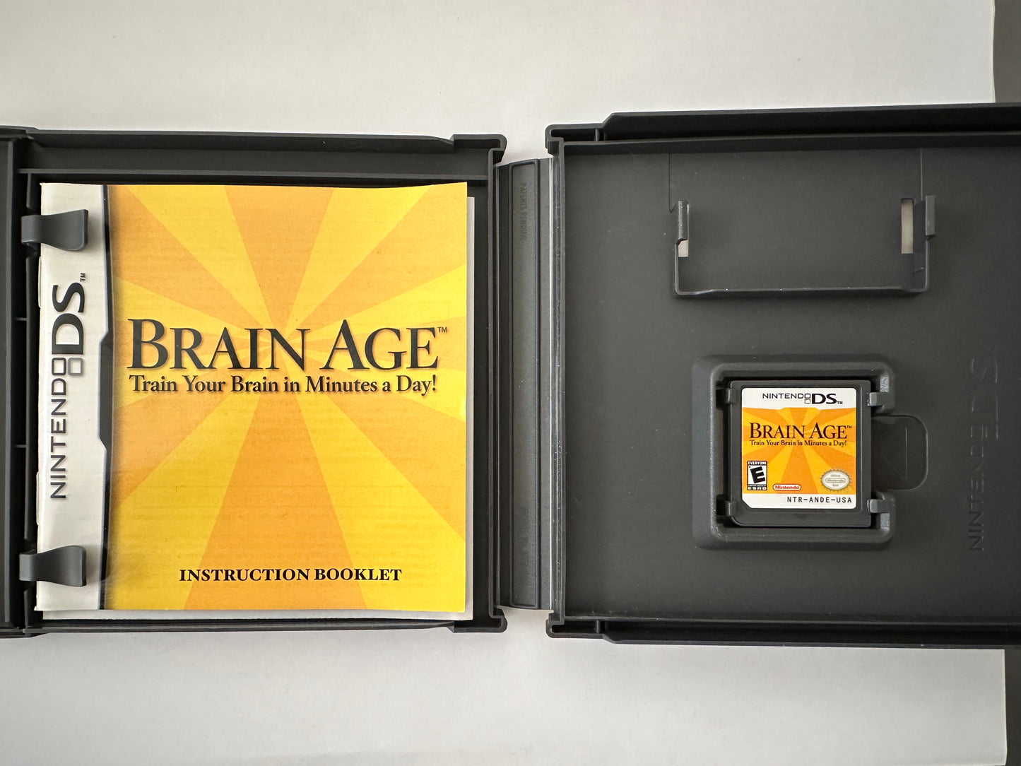 Brain Age for the Nintendo DS