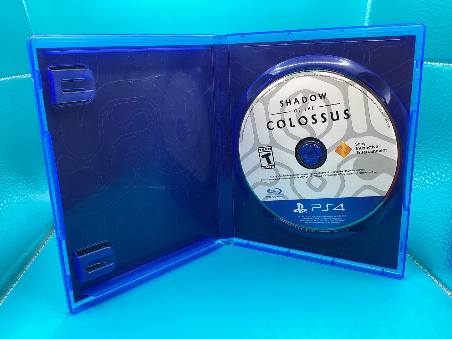 Shadow of the Colossus