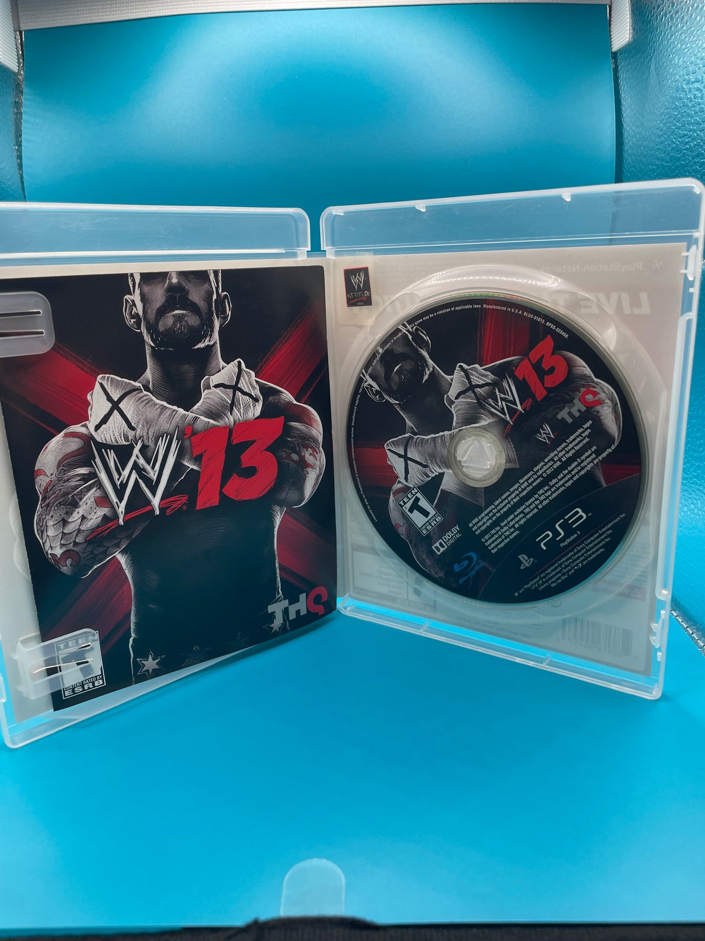 WWE 13