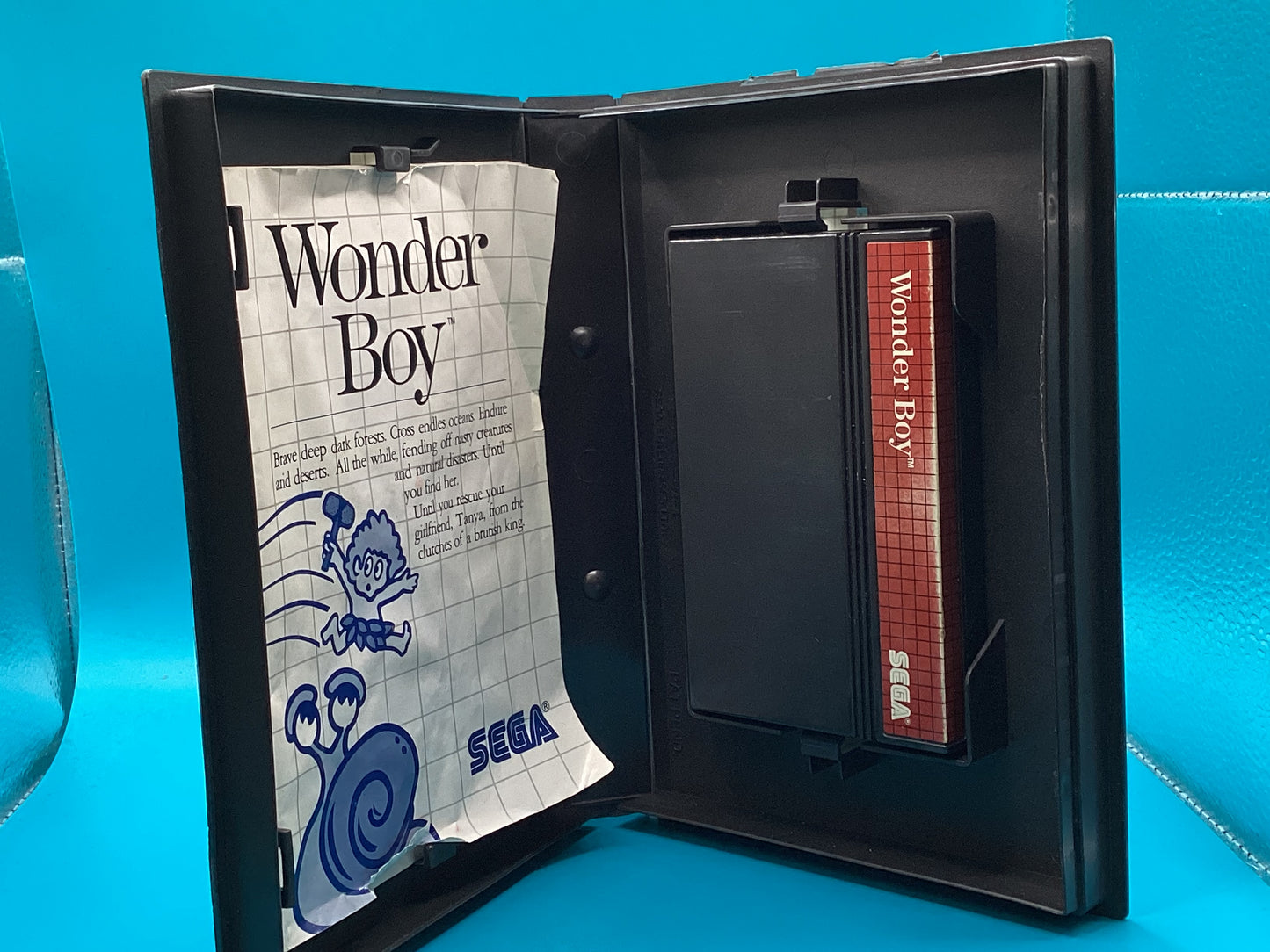 Wonder Boy