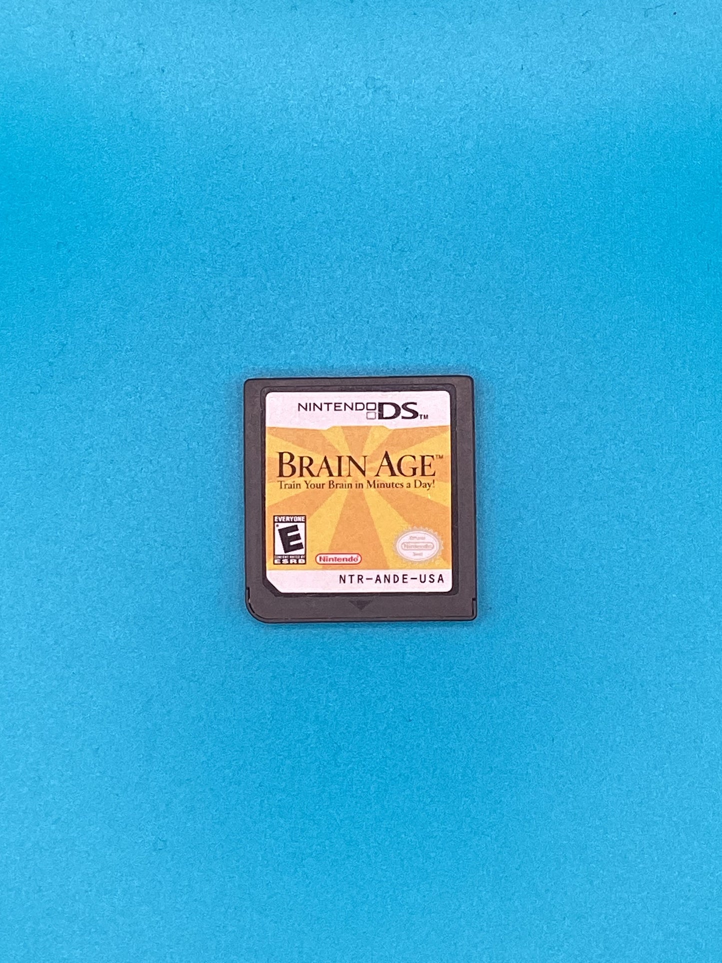 Brain Age