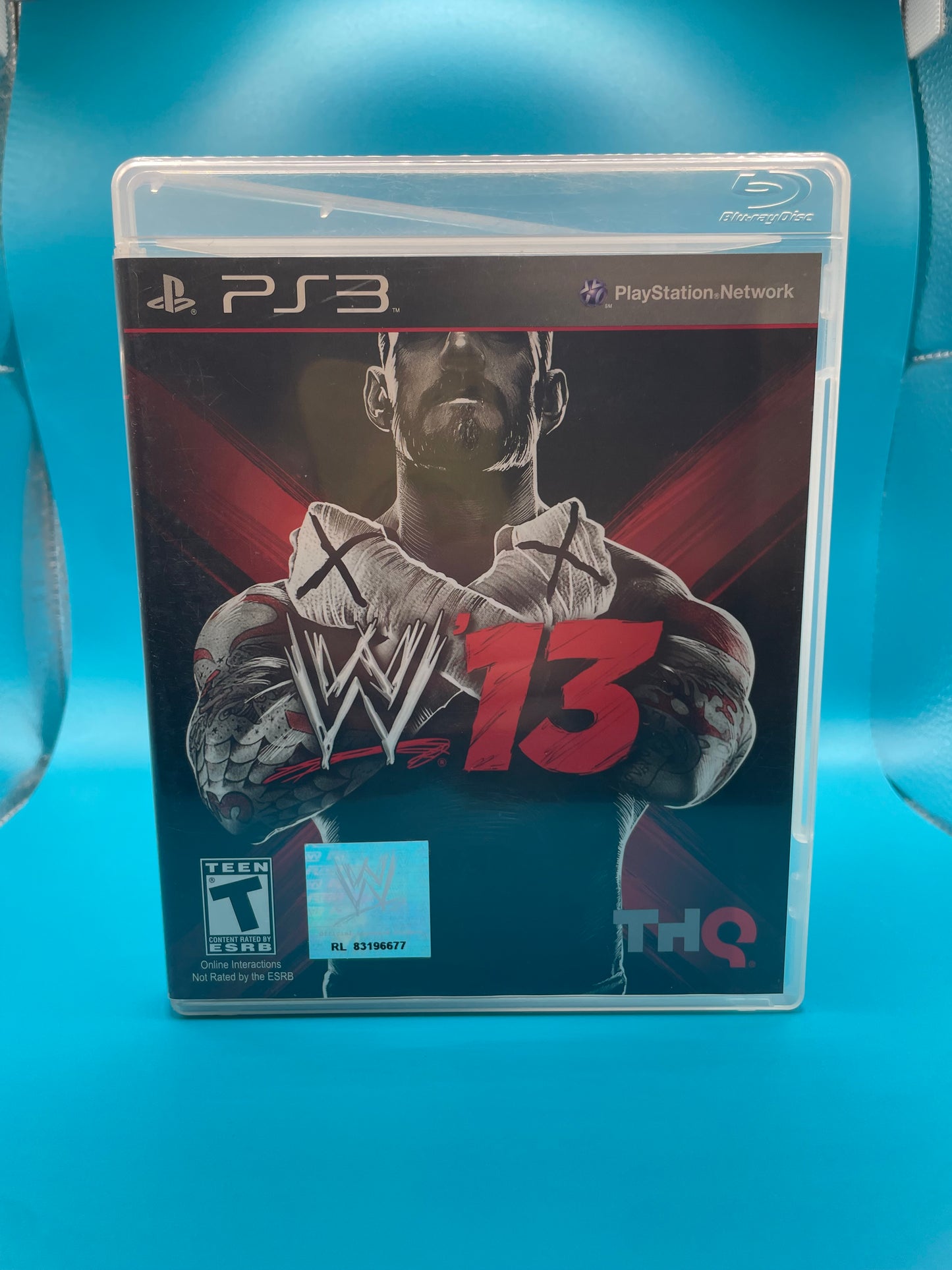 WWE 13
