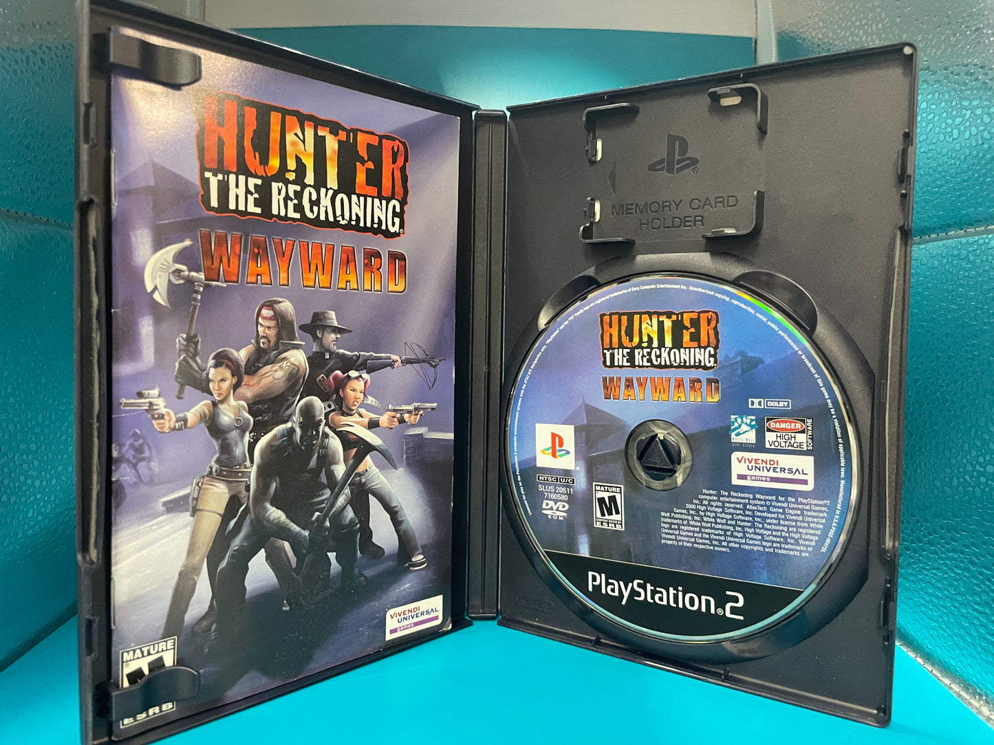 Hunter The Reckoning: Wayward