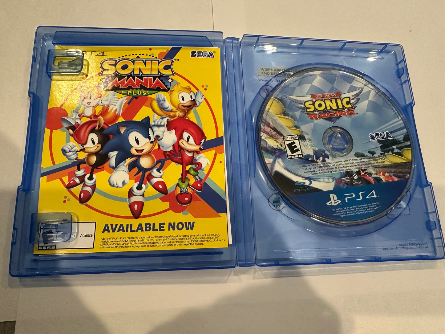 Team sonic racing
