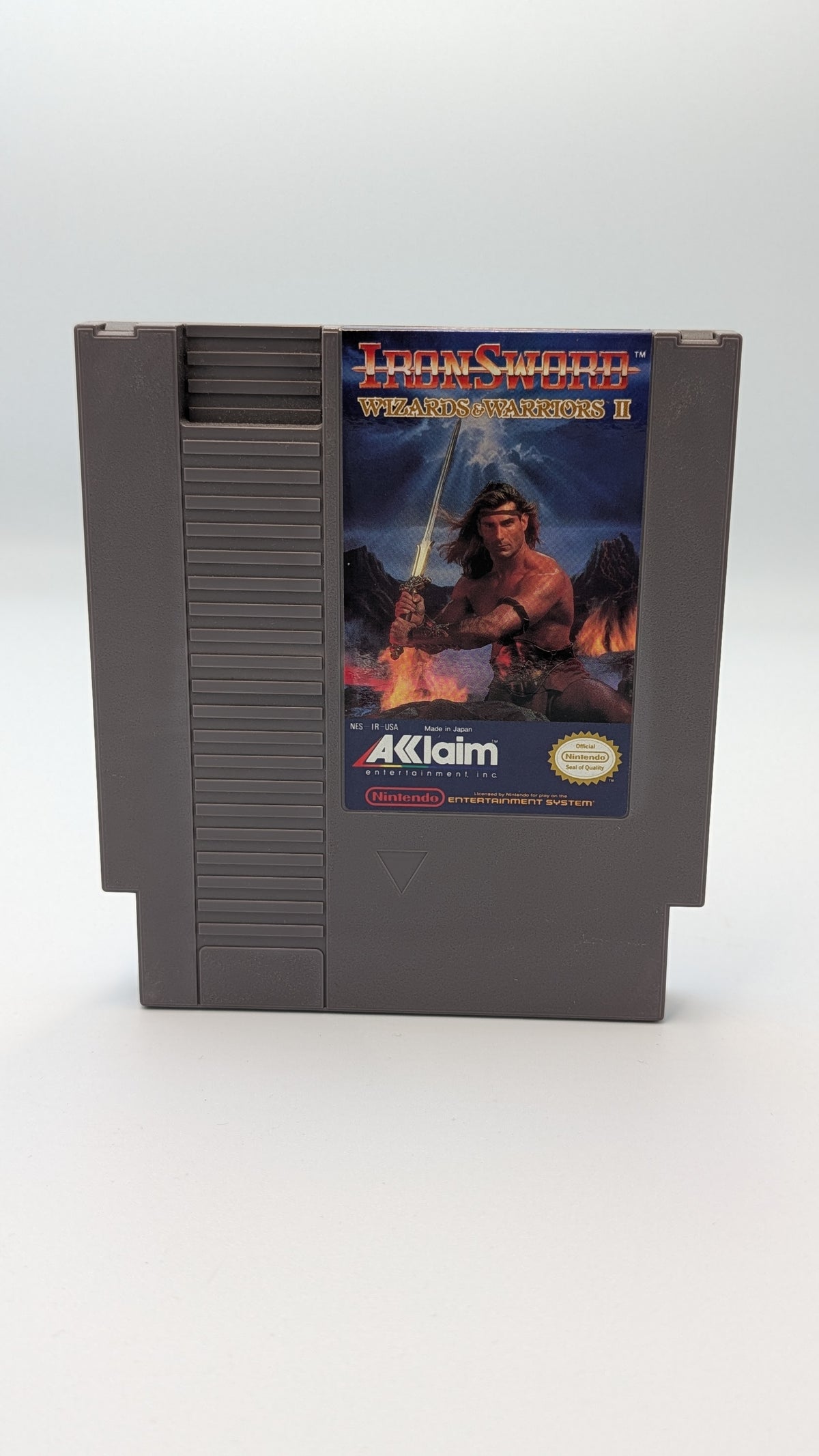 Iron Sword Wizards and Warriors II