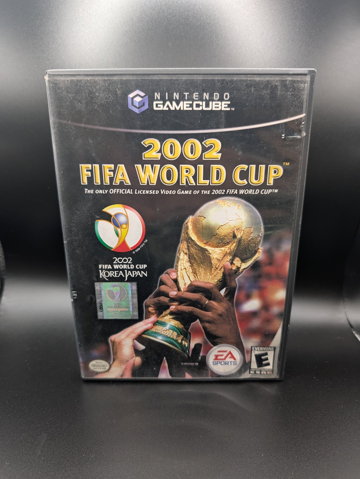 2002 FIFA World Cup