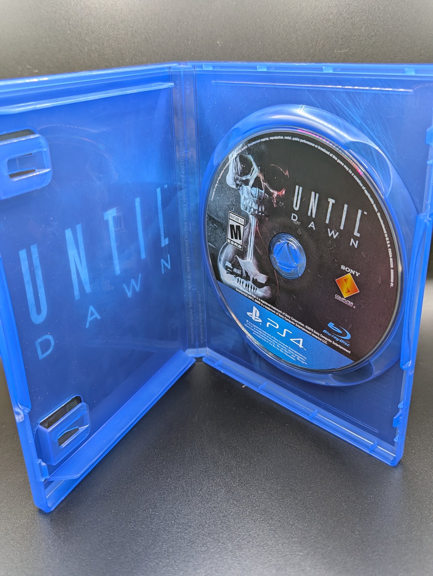 Until Dawn